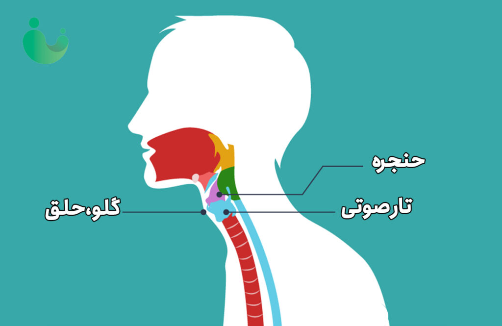 بلوغ و نوجوانی